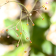 Illustration for article titled Shooting Challenge: Bokeh, Gallery 3